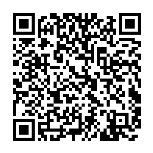 这朵火莲也借着朱雀之池以及那火系本源力量得到了进一步的强化二维码生成