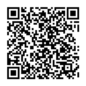这朵荆棘玫瑰的那双高挑的美腿已经踢爆了两位数敢于尝试的花花公子的要害二维码生成