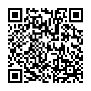 这村里能搞这么大动静的也就那棵千年老松树了二维码生成