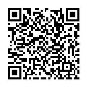 这条僵尸之路在他得到传承那一刻终于走上了正轨二维码生成