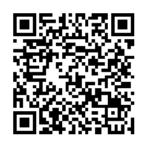 这条完全可以答应……这块店面给你方寸公司免费使用二维码生成