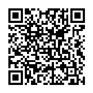 这条火龙比风清扬之前从胖子身上找来的火符更加凶猛二维码生成