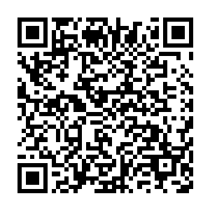 这条矿脉就被一个中心区黑袍修士以二百五十块上品灵石的价位买走了二维码生成