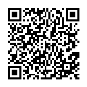 这条类似蛇一样的生物其实就是李锐凝聚出来的第三天真火龙二维码生成