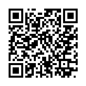 这枚自然之叶不知道是费德勒从那里得到的二维码生成