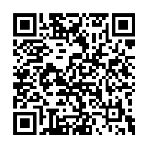 这枚龙珠里居然封印着一只大罗金仙级别的怨灵二维码生成