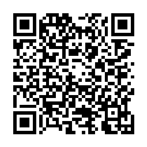 这架飞机屁股后面还有居然追着两架德国双引擎战机me110二维码生成