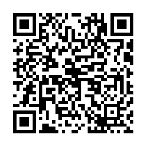 这柄剑正是天脉宫剑神剑九送于他的达到伪仙器级别的飞剑二维码生成