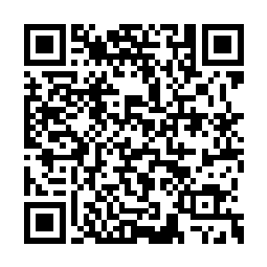 这柄屠戮了不知道多少龙族的凶器早已饥渴难耐二维码生成