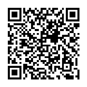 这柳树跟肖美兰那学苗蛊的侗女所种的树蛊一样有着灵智二维码生成