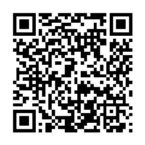 这样……就给了江少游他们十个人一个相对自由的空间二维码生成