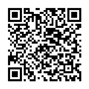 这样一支拥有自由意志的闪电大军出现在盘古宇宙二维码生成