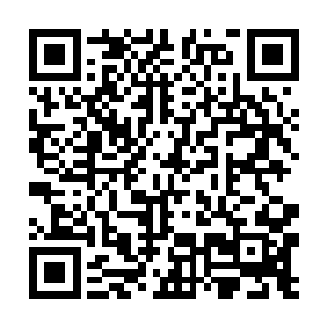 这样一来……他就可以无所顾忌地全力应战了吧……二维码生成