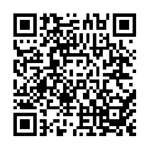 这样一来却苦了秦方了……楚老爷子一个劲的给他拉红线二维码生成