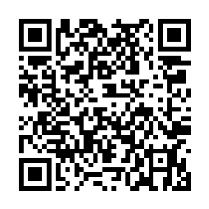 这样亲身的投入战场核心更等是吹响了总攻的号角二维码生成