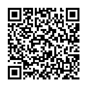 这样以防万一以后再遇到什么事他们也能区分开二维码生成
