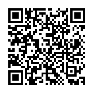 这样做的风险是龙鼎天很可能会重新考虑莫小鱼和龙幼萱的事情二维码生成