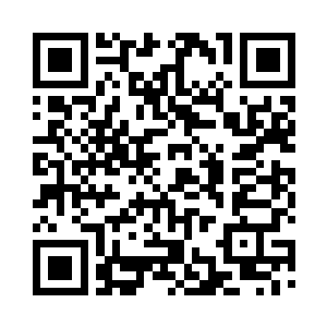 这样可以大致地对红地毯进行一个规划二维码生成