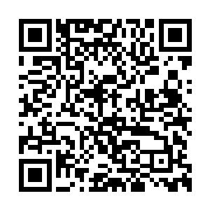 这样多功法在里面……不知有没有机会进去看看二维码生成