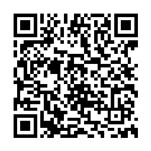 这样就可以更好地帮裴溪远融合两个人格的记忆二维码生成