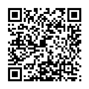 这样或许还可以通过元辰让玄幽谷跟天机楼联系到一起二维码生成
