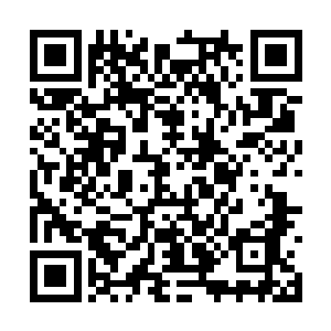 这样才能推算出事件真想会以怎样的速度流传开来二维码生成