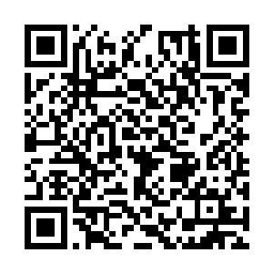 这样才能让这个打人不眨眼的大个子不对自己动手二维码生成