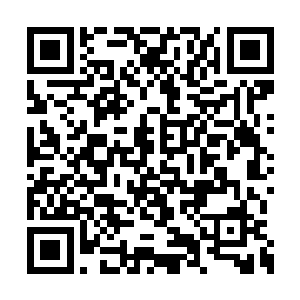 这样既不用出去冒着生命危险打猎又算是出了力二维码生成