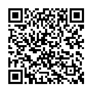 这样的人应该是效忠日本皇族的核心人物才对啊二维码生成