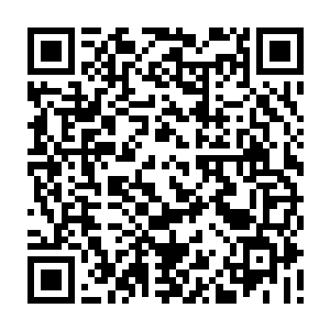 这样的凌菲让她不由得想起在高山族那个阴暗潮湿的山洞里她也是经常这副模样二维码生成