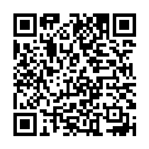 这样的分配经验方式固然可以在短时间内提升总等级二维码生成