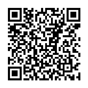 这样的变化也是让六大家族的四大高手惊了一下的二维码生成
