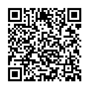这样的变化表示他心中对楚暮深深的感激和尊敬二维码生成