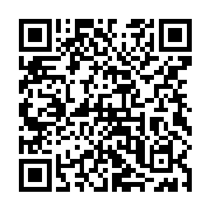 这样的场面就使得那个带头的男人变相的鹤立鸡群一般二维码生成