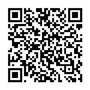 这样的实力就算是其他峰脉的长老都没有一位能达到二维码生成