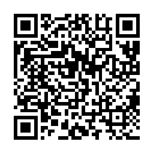 这样的小国想要和囊括数百个大千世界的超级大国去竞争二维码生成