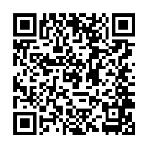 这样的战斗哪怕只是远远观看也是让得他们热血沸腾二维码生成