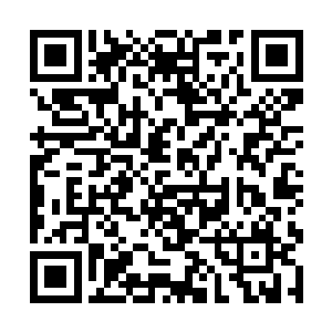 这样的搭配也算得上是女学马球队里的全明星阵容了二维码生成