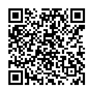 这样的政权根本就不屑于将自己暴露在九域修士眼里二维码生成