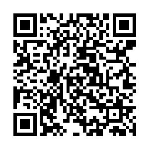 这样的笑容在这大半年的时间里面可是没有看见了二维码生成