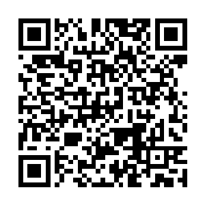这样的距离对于手握软鞭的玄天冥来说却是刚刚好二维码生成