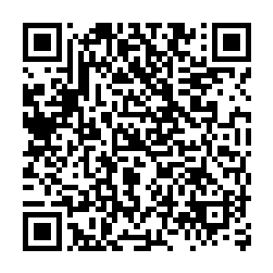 这样算下来这一株仙药应该已经在这里生长了起码1千年的时间了二维码生成