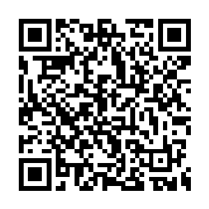 这样终于可以规范鼓励刺激纳甲土尸主动修炼了二维码生成