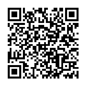 这样自己也可以从里面寻找弱点和红袍剑英的战斗习惯二维码生成