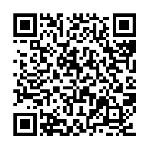 这样那红衣男子跟过来的时候就会遇到那些妖兽二维码生成