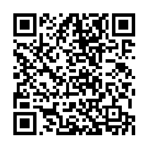 这根大萝卜已经被我用六百三十二块钱拍下来了二维码生成