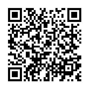 这次三大核心弟子带着二十位筑基的师兄来了曲都城二维码生成