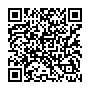 这次与那风君座对立势力的这些人乃是天宇帝国屠神队的二维码生成