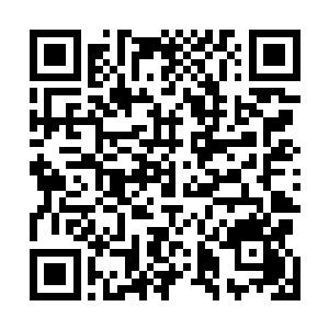 这次交流会因为专门讨论时下最热门的华夏改造火星一事二维码生成