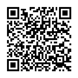 这次候鸟议会会派遣四大德鲁伊封禁冥凤的力量……可惜……二维码生成